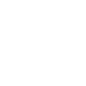 location-icon